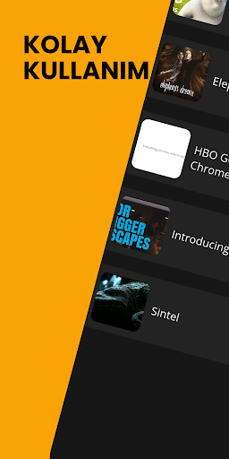 Rise IPTV Player Screen 2