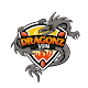 Dragonz VPN Pro