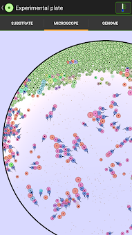 Cell Lab: Evolution Sandbox screenshot 2