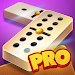 Dominoes Pro Offline or Online APK