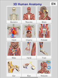 3D Anatomy