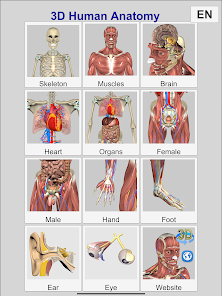 3D Anatomy v6.2 (Unlocked) Gallery 8