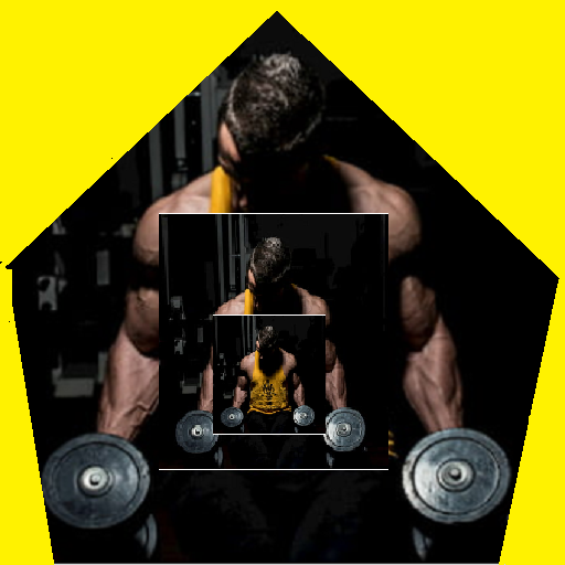 Bodybuilding Plan  Icon
