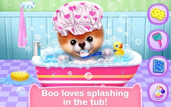 Boo - The World's Cutest Dog screenshot thumbnail
