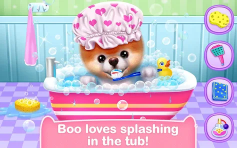 Boo - The World's Cutest Dog - Apps on Google Play