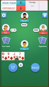 Card Game 29 King - Tash Game