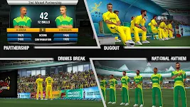 World Cricket Championship 2 Mod APK (unlimited money) Download 5