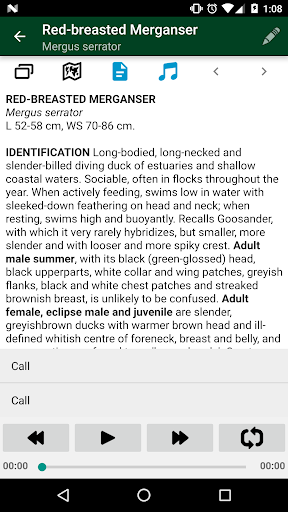 Birds of Germany & Switzerland Screenshot