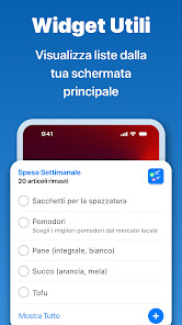 Immagine screenshot