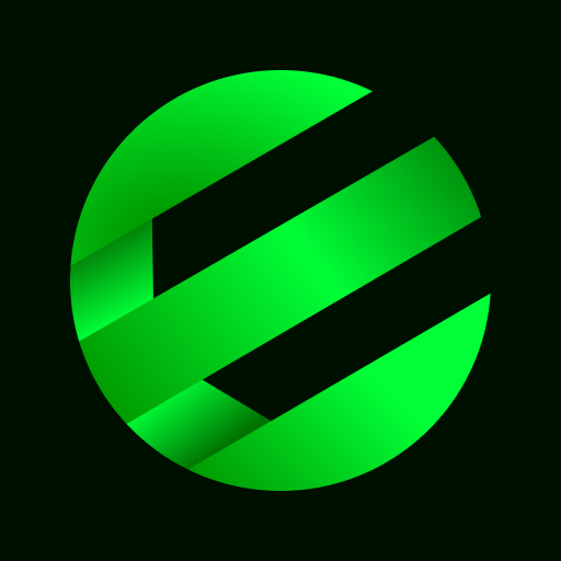EZE Organizer logo