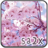The Sakura icon