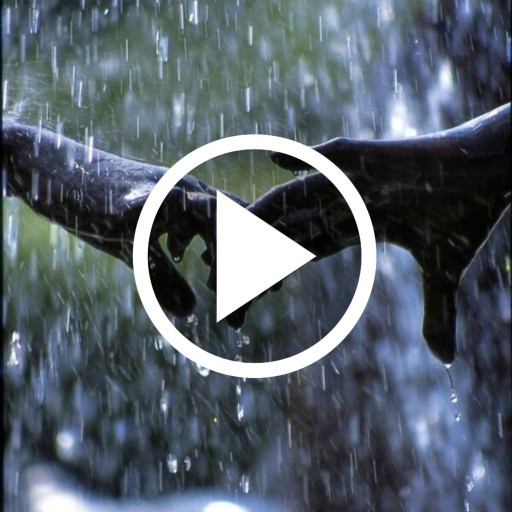 Rain Video Wallpaper