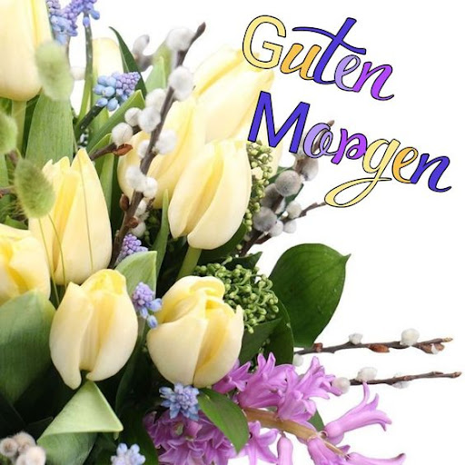 Guten Morgen für Sie
