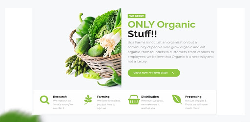 Organic Vegetables Grocery Wh