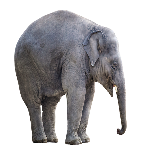 Elephant Sound logo