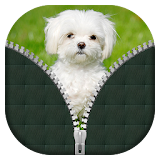 Dogs Zipper Lock Screen icon