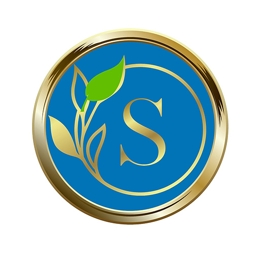 Stellar Success Academy logo