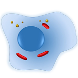 Cell Biology-101 icon
