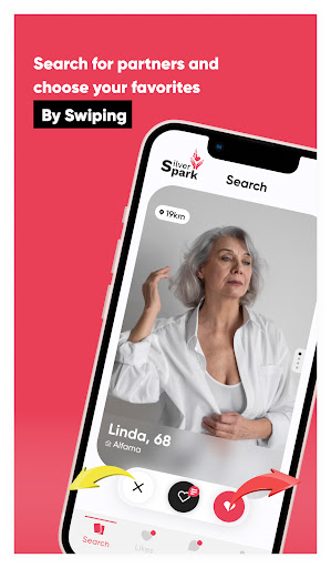 Silver Spark Screen 3