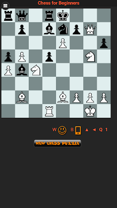 Schaken Voor Beginners - Screenshot 4