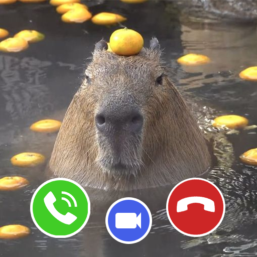 Capybara Funny Fake Call Download on Windows
