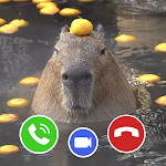 Cover Image of Скачать Capybara Funny Fake Call  APK
