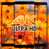 Flowers UltraHD 4k Wallpaper