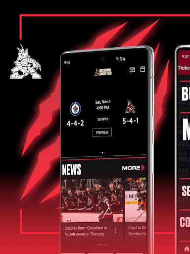 Screenshot of Arizona Coyotes