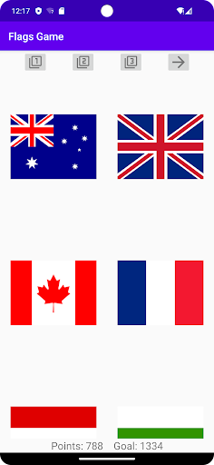 Flags Game Screen 3