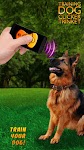 screenshot of Training Dog Clicker Trinket