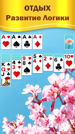 Game screenshot Классический Пасьянс Косынка apk download