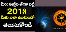 Numerology in Telugu APK