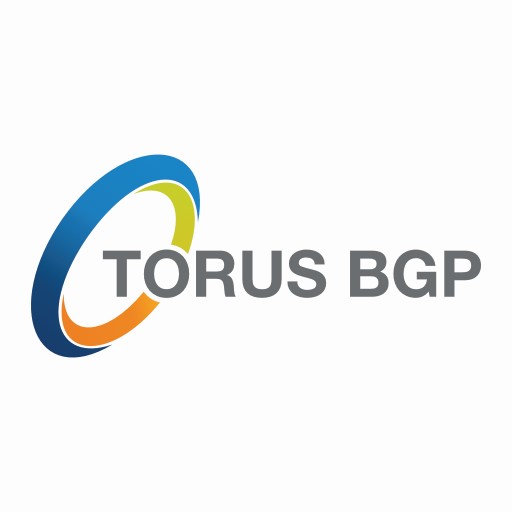 Torus BGP Mobilise logo