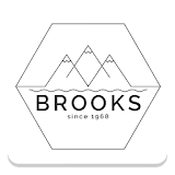 Brooks Auction icon