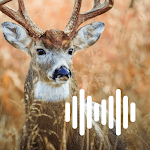 Cover Image of Download Deer hunting calls  APK