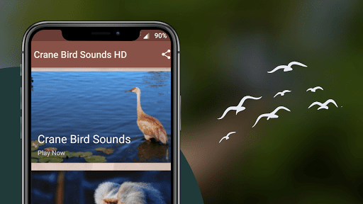 Android application Crane Bird Sounds screenshort