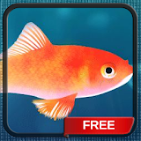 Pet Gold Fish Live Wallpaper icon