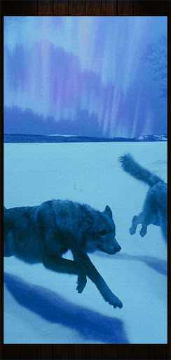 Android application Wolfsbane screenshort