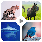 Animal sounds for kids - (Puzzles) Learning