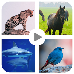Icon image Animal sound for kids Learning