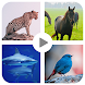 Animal sound for kids Learning - Androidアプリ