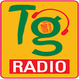 Telangana Radio icon