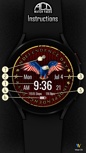ACD165 Independence Day Screen 3