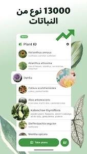 Plant ID: نباتاتي