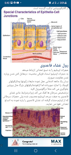 هستالوژی عمومی