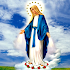 The Holy Rosary1.49