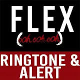 Flex Ringtone and Alert icon
