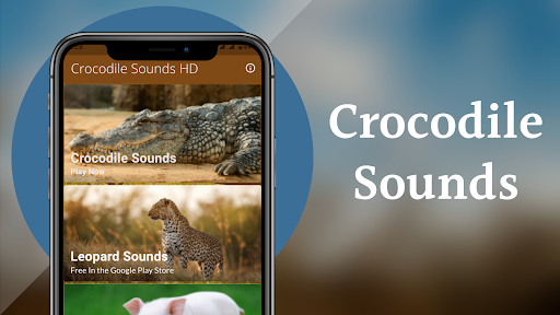 Android application Crocodile Sounds screenshort