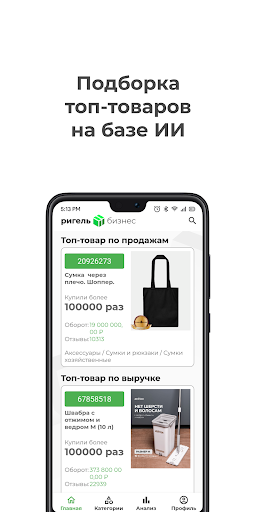 Ригель-Бизнес Screen 2