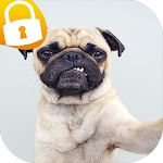 Cover Image of Télécharger Pug Passcode Lock Screen  APK